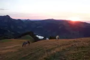 Schwyberg - lebt eures Leben und lässt mein's sein...