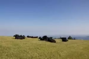 Schwyberg - lebt eures Leben und lässt mein's sein...