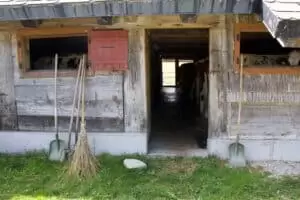 Schwyberg - lebt eures Leben und lässt mein's sein...