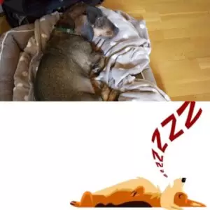 Putování Galterntal a moje švýcarská rodina