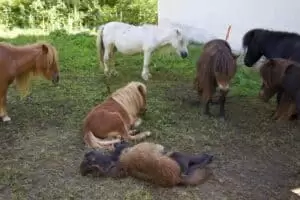 Putování Galterntal a moje švýcarská rodina