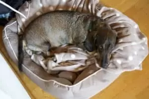 Putování Galterntal a moje švýcarská rodina
