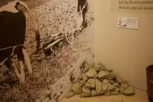 Toulky domovem 3. část Národní muzeum v přírodě