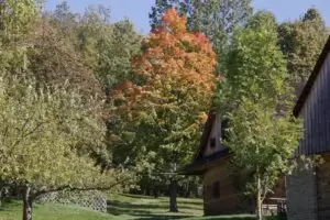 Toulky domovem 3. část Národní muzeum v přírodě