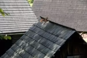 Toulky domovem 3. část Národní muzeum v přírodě