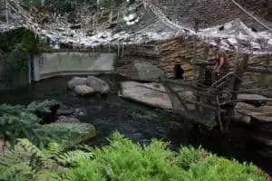 Toulky domovem 5. část Zoo Lešná