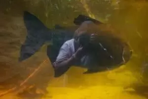 Toulky domovem 5. část Zoo Lešná