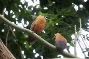 Durch die Tschechien 5. Teil Zoo Lesna