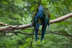 Durch die Tschechien 5. Teil Zoo Lesna