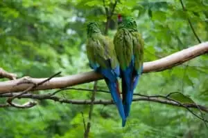 Durch die Tschechien 5. Teil Zoo Lesna