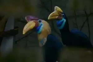 Durch die Tschechien 5. Teil Zoo Lesna