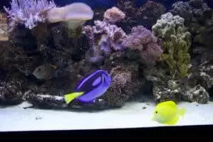 Durch die Tschechien 5. Teil Zoo Lesna