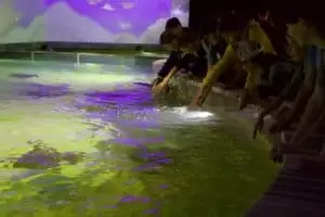Toulky domovem 5. část Zoo Lešná