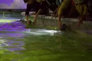 Toulky domovem 5. část Zoo Lešná