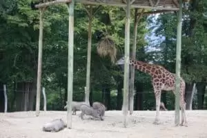 Toulky domovem 5. část Zoo Lešná