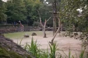 Toulky domovem 5. část Zoo Lešná