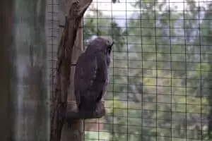 Toulky domovem 5. část Zoo Lešná
