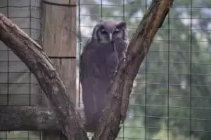Toulky domovem 5. část Zoo Lešná