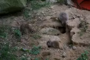Toulky domovem 5. část Zoo Lešná
