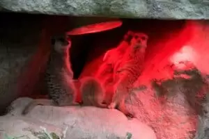 Toulky domovem 5. část Zoo Lešná