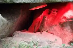 Durch die Tschechien 5. Teil Zoo Lesna