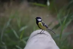 Toulky domovem 5. část Zoo Lešná