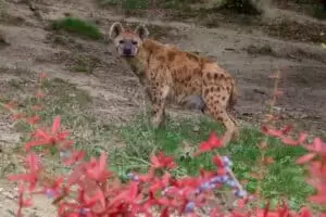 Toulky domovem 5. část Zoo Lešná