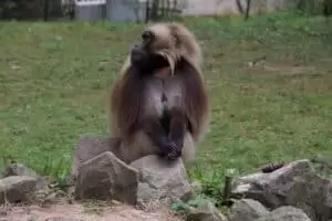 Toulky domovem 5. část Zoo Lešná