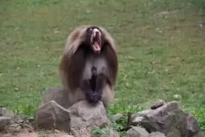 Toulky domovem 5. část Zoo Lešná