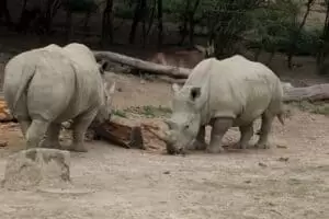 Durch die Tschechien 5. Teil Zoo Lesna
