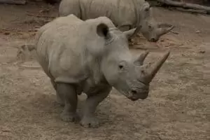 Toulky domovem 5. část Zoo Lešná