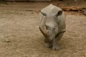 Toulky domovem 5. část Zoo Lešná