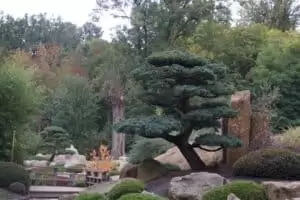Toulky domovem 5. část Zoo Lešná
