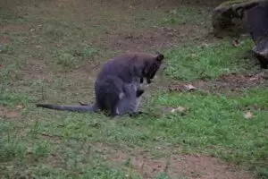 Toulky domovem 5. část Zoo Lešná