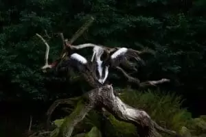 Toulky domovem 5. část Zoo Lešná