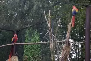 Toulky domovem 5. část Zoo Lešná