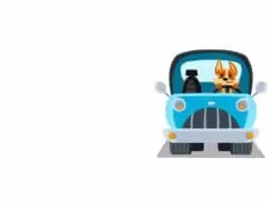 Gotthardpass-Lukmanierpass-Oberalppass-Susten