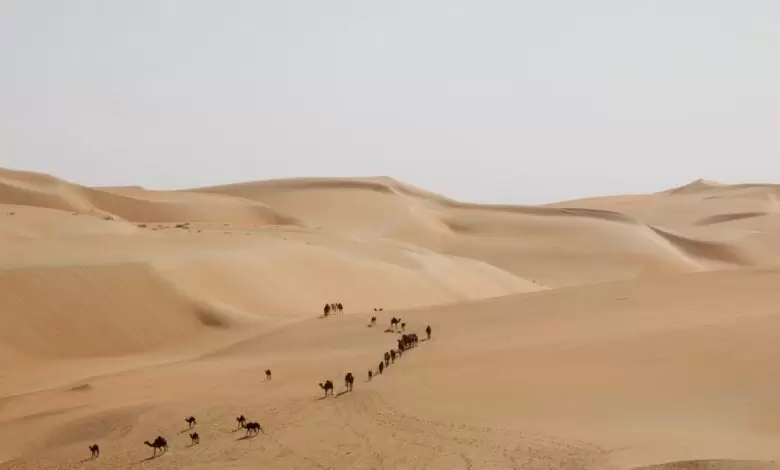 Spojené Arabské Emiráty