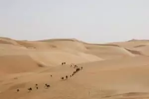 Spojené Arabské Emiráty