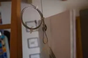 Kmotra a zvířátka