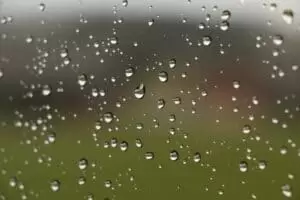 Kmotra a zvířátka