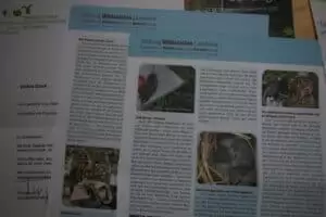 Kmotra a zvířátka