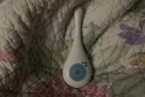 Kmotra a zvířátka