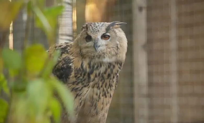 Patentag in der Wildstation Landshut