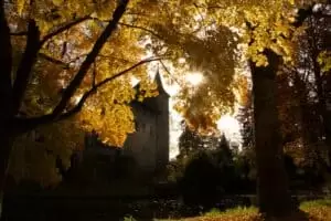 Patentag in der Wildstation Landshut