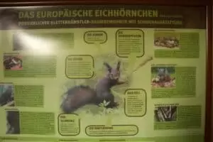 Patentag in der Wildstation Landshut