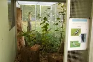 Patentag in der Wildstation Landshut