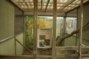 Patentag in der Wildstation Landshut