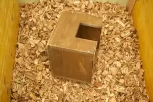 Patentag in der Wildstation Landshut