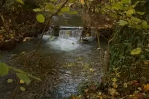 Patentag in der Wildstation Landshut